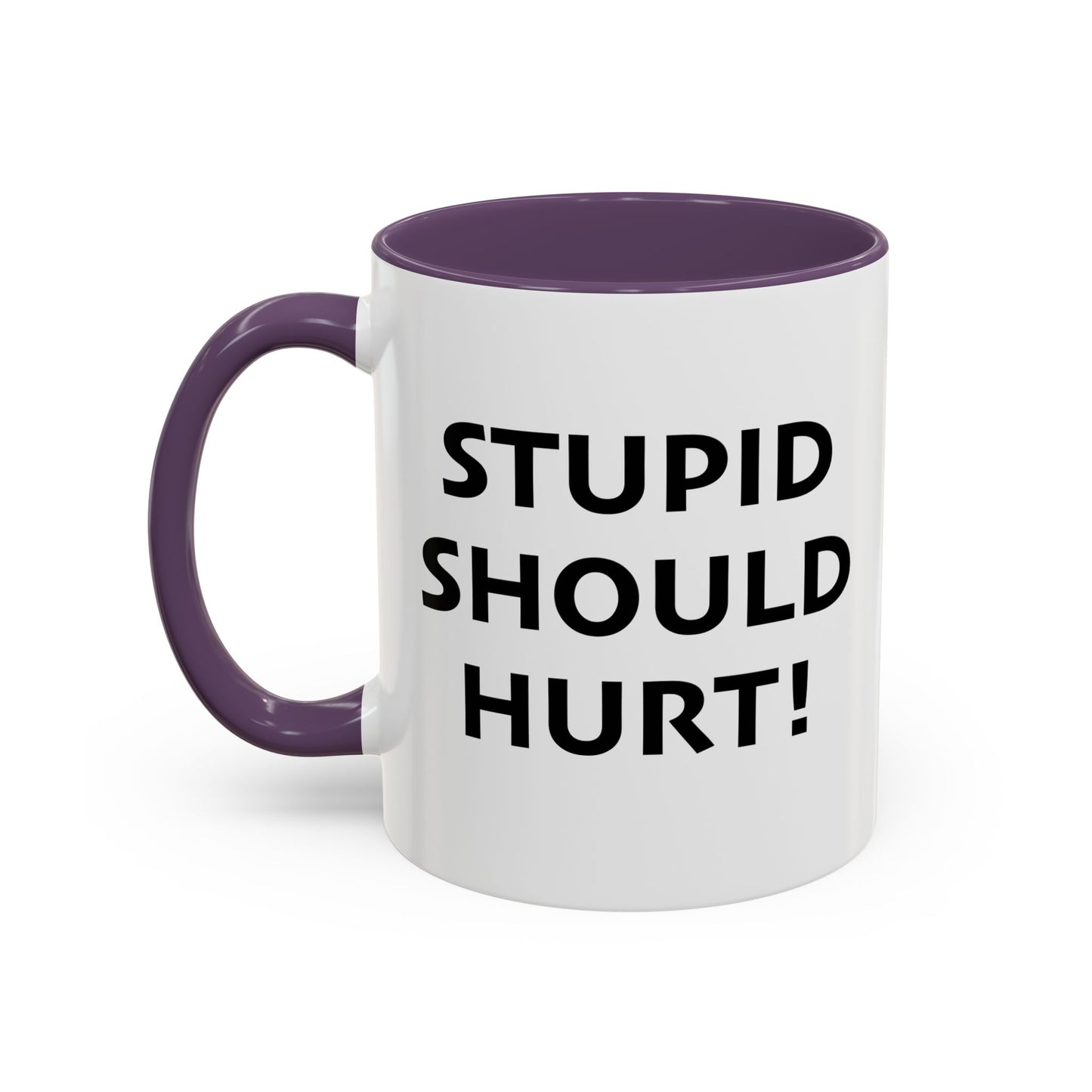 STUPID SHOULD HURT Accent BiColor Funny Sarcastic Mug