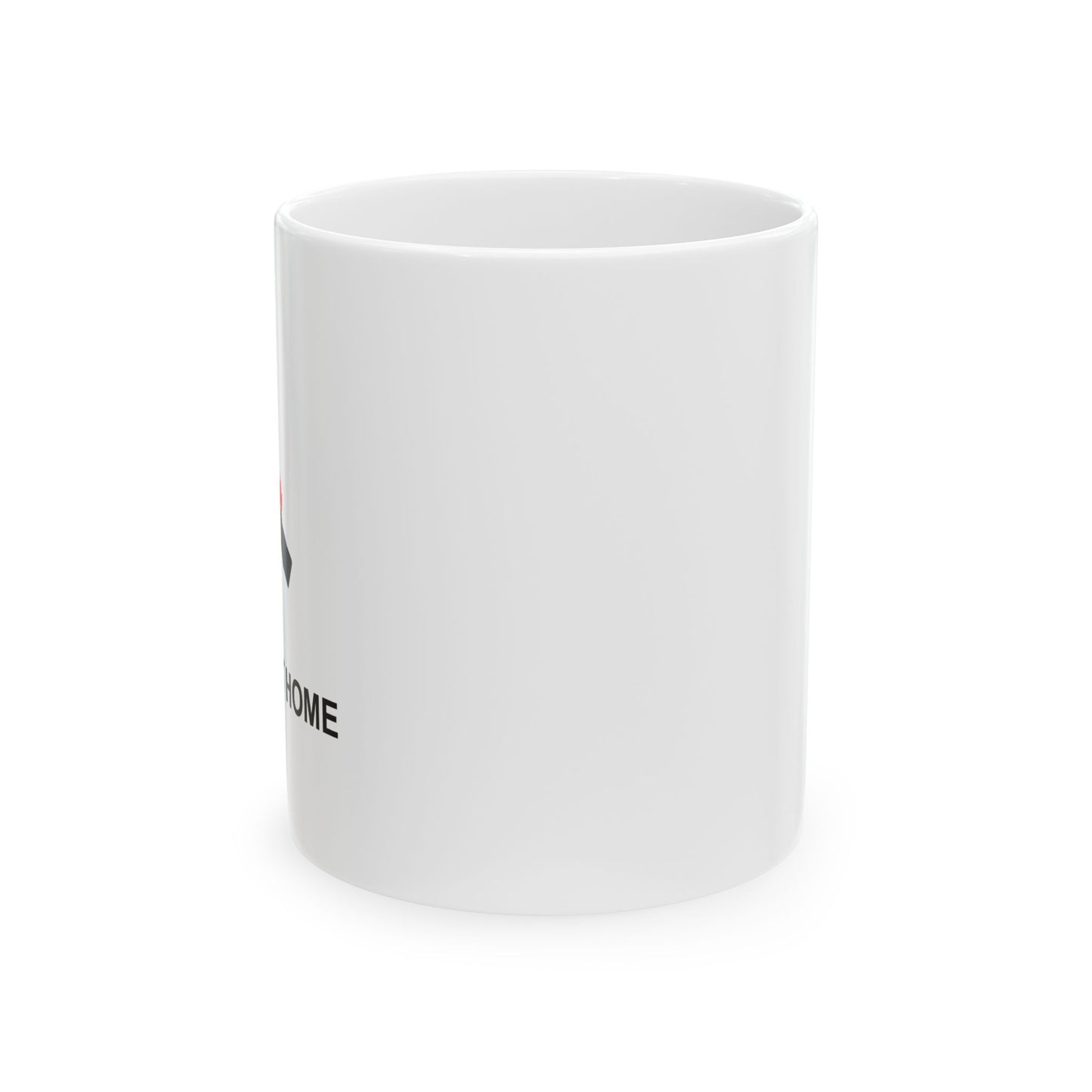 I TRIED IT AT HOME FUNNY SCARCASTIC MUG