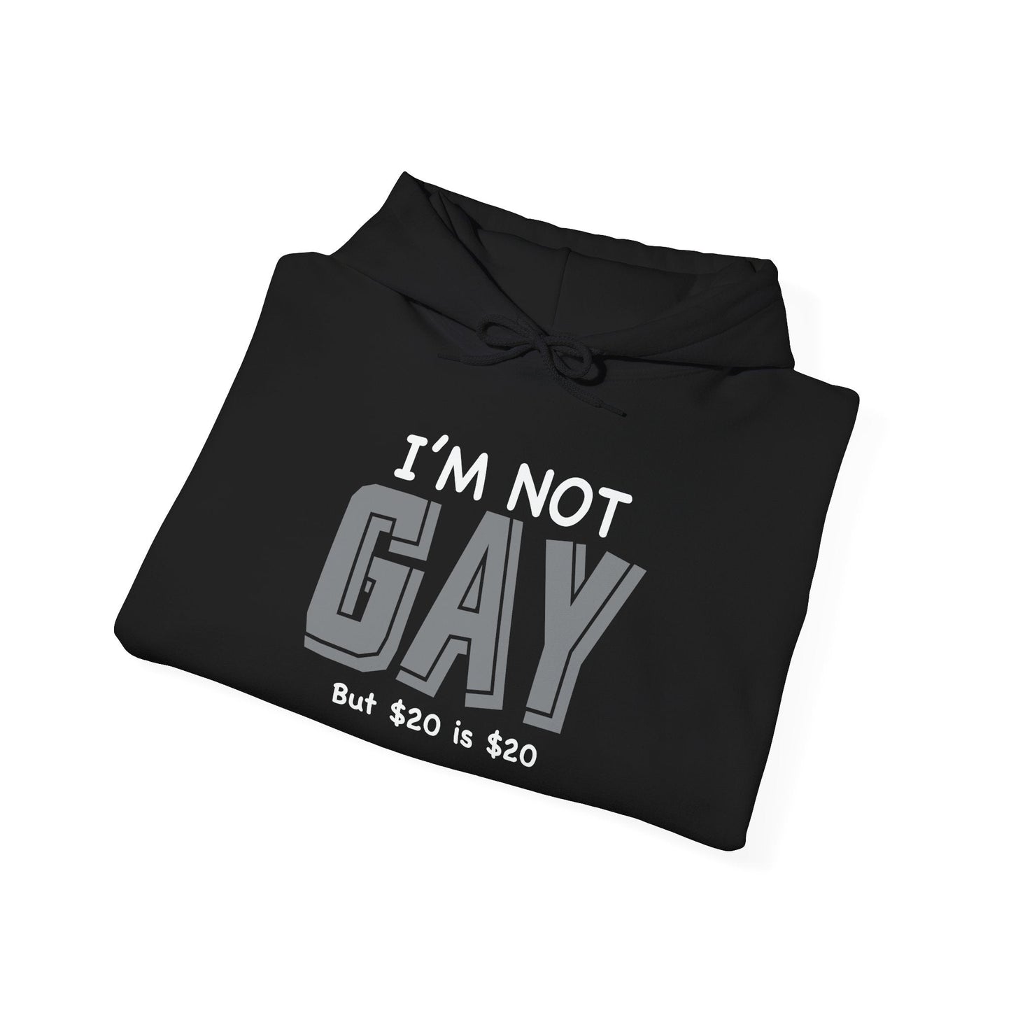 I'M NOT GAY - Premium Unisex Funny Sarcastic Black Hoodie Sweatshirt