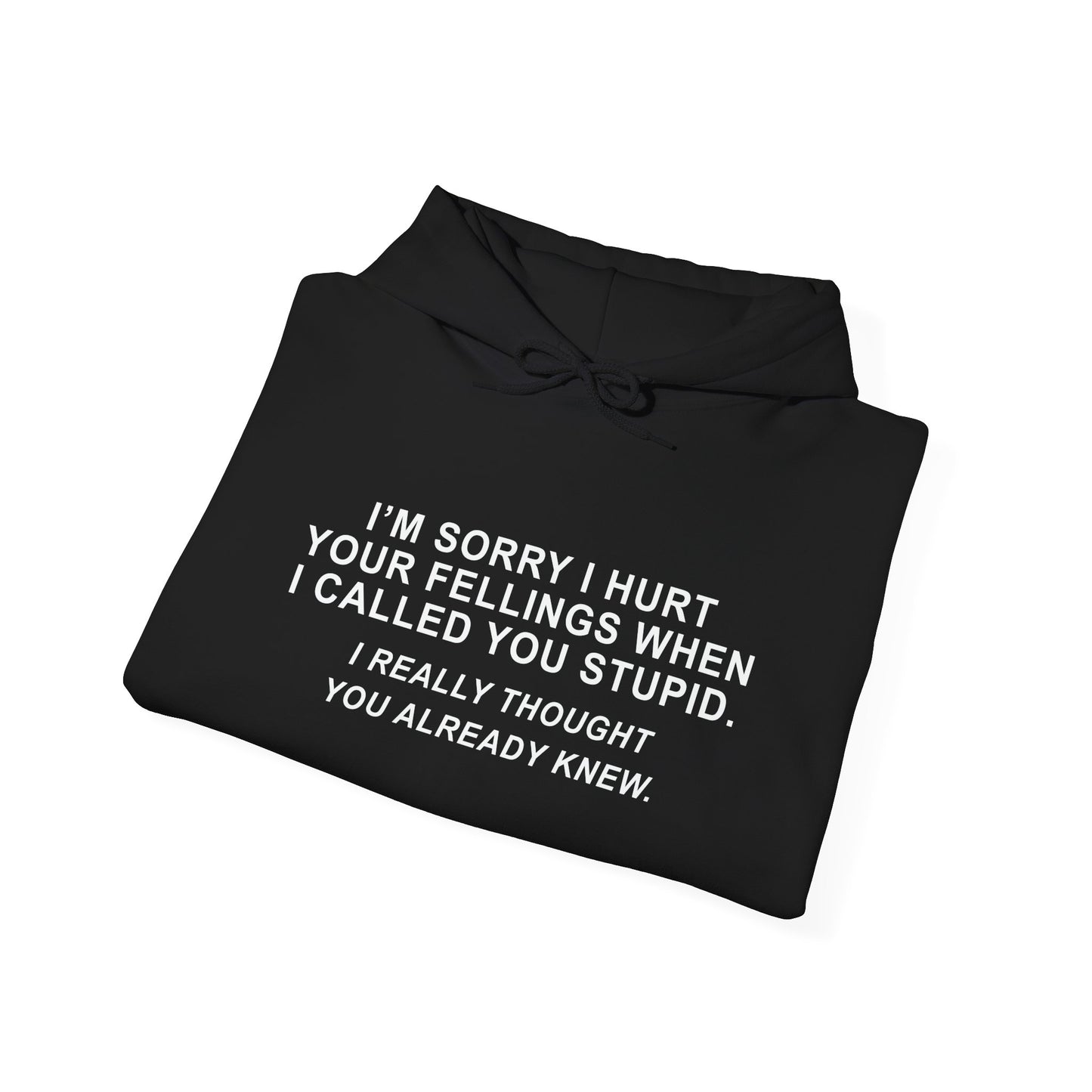 SORRY I HURT YOUR FEELING WHEN I CALLED YOU STUPID - Premium Unisex Funny Sarcastic Black Hoodie Sweatshirt