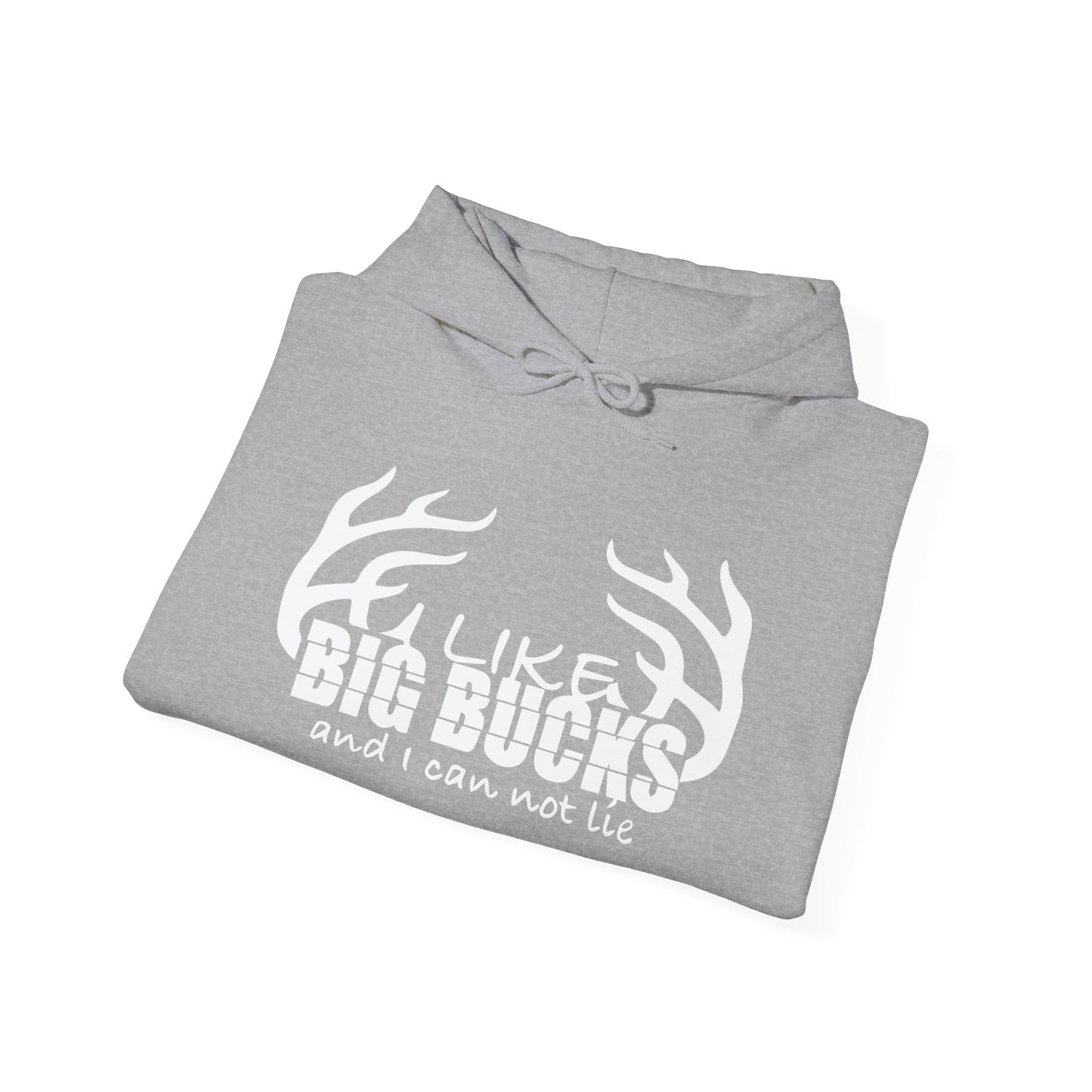 I LIKE BIG BUCKS AND I CAN NOT LIE - Premium Unisex Funny Sarcastic Black Hoodie Sweatshirt