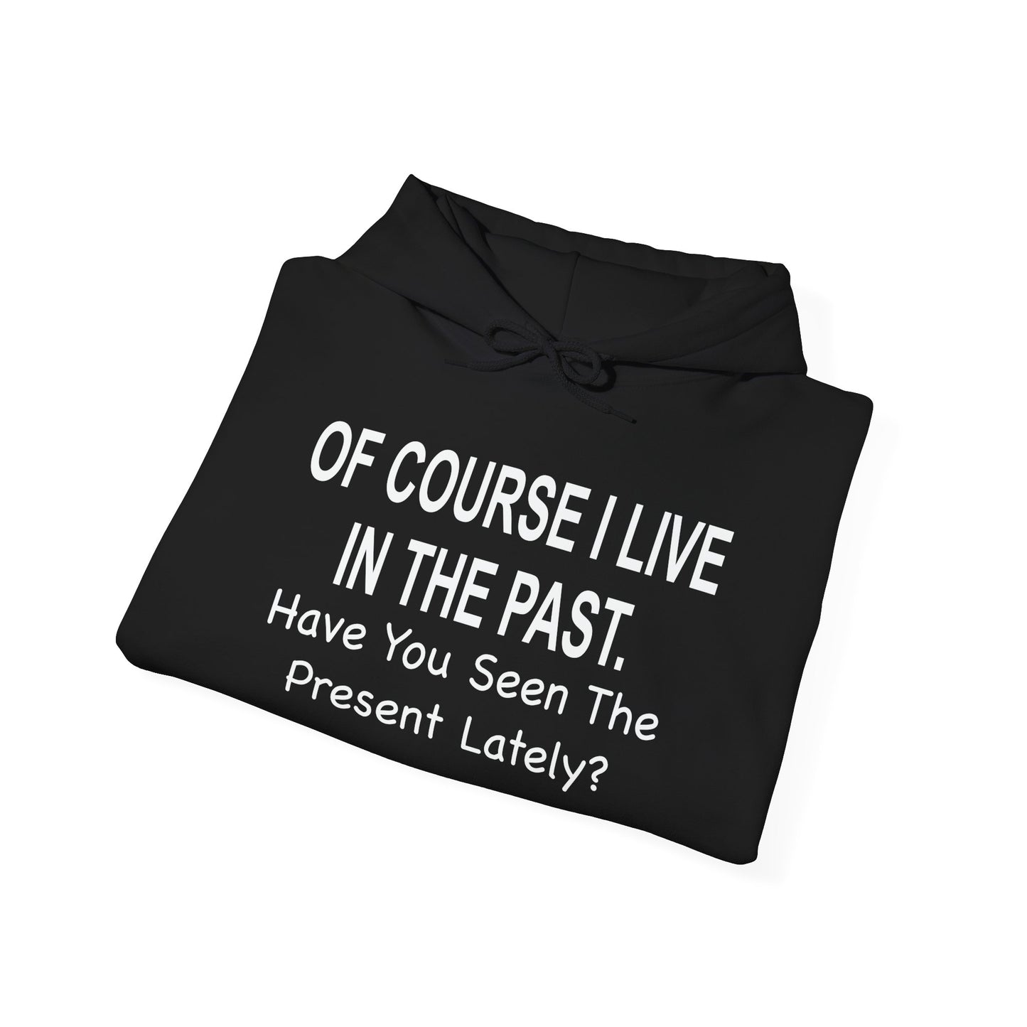 Of Course I Live In The Past Have You Seen The Present Lately - Premium Unisex Funny Sarcastic Black Hoodie Sweatshirt