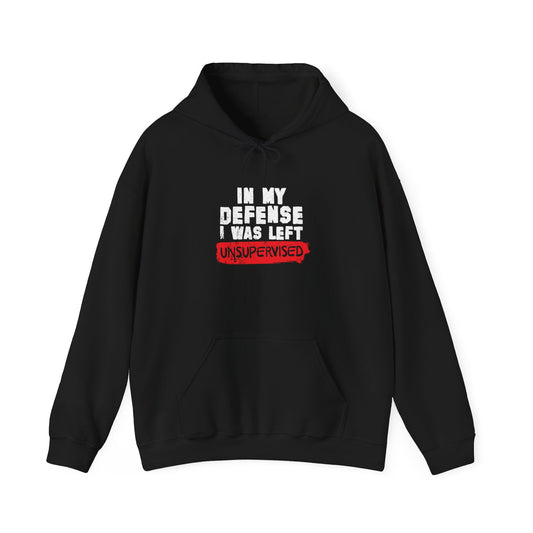 IN MY DEFENSE I WAS LEFT - Premium Unisex Funny Sarcastic Black Hoodie Sweatshirt