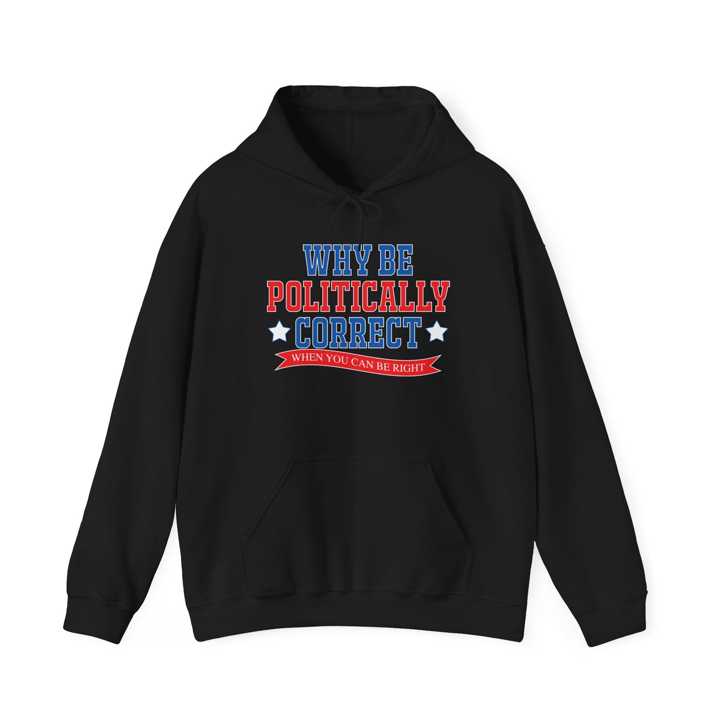 WHY BE POLITICALLY CORRECT - Premium Unisex Funny Sarcastic Black Hoodie Sweatshirt