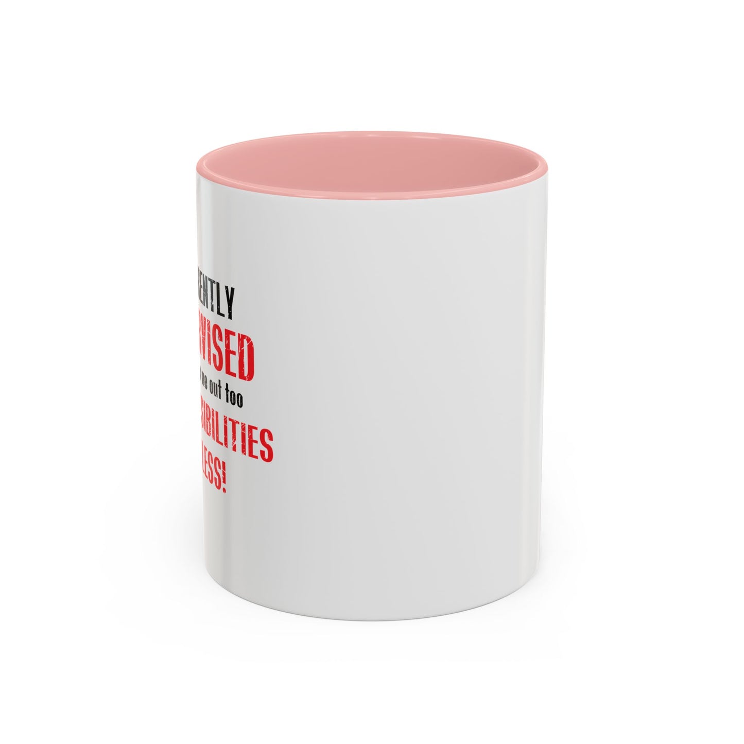 THE POSSIBILITIES ENDLESS Accent BiColor Funny Sarcastic Mug