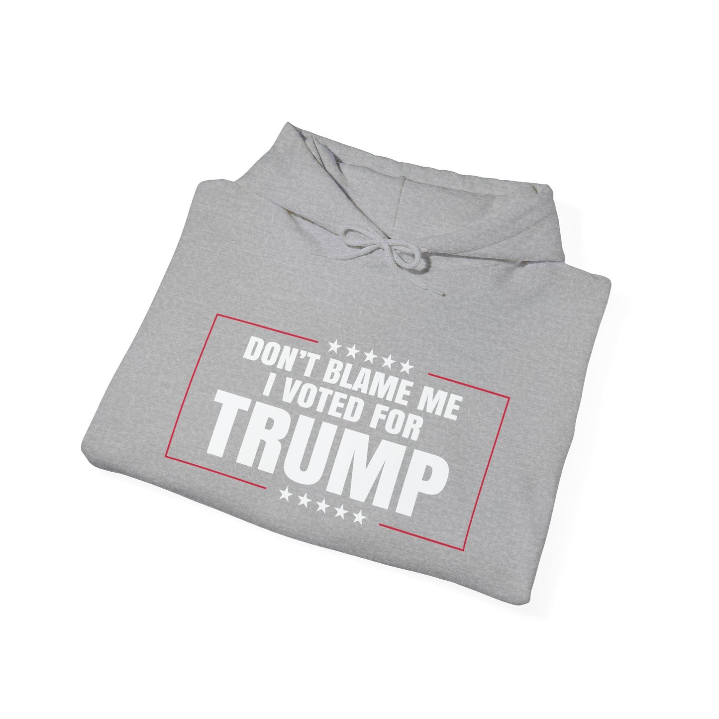 I VOTED FOR TRUMP - Premium Unisex Funny Sarcastic Black Hoodie Sweatshirt