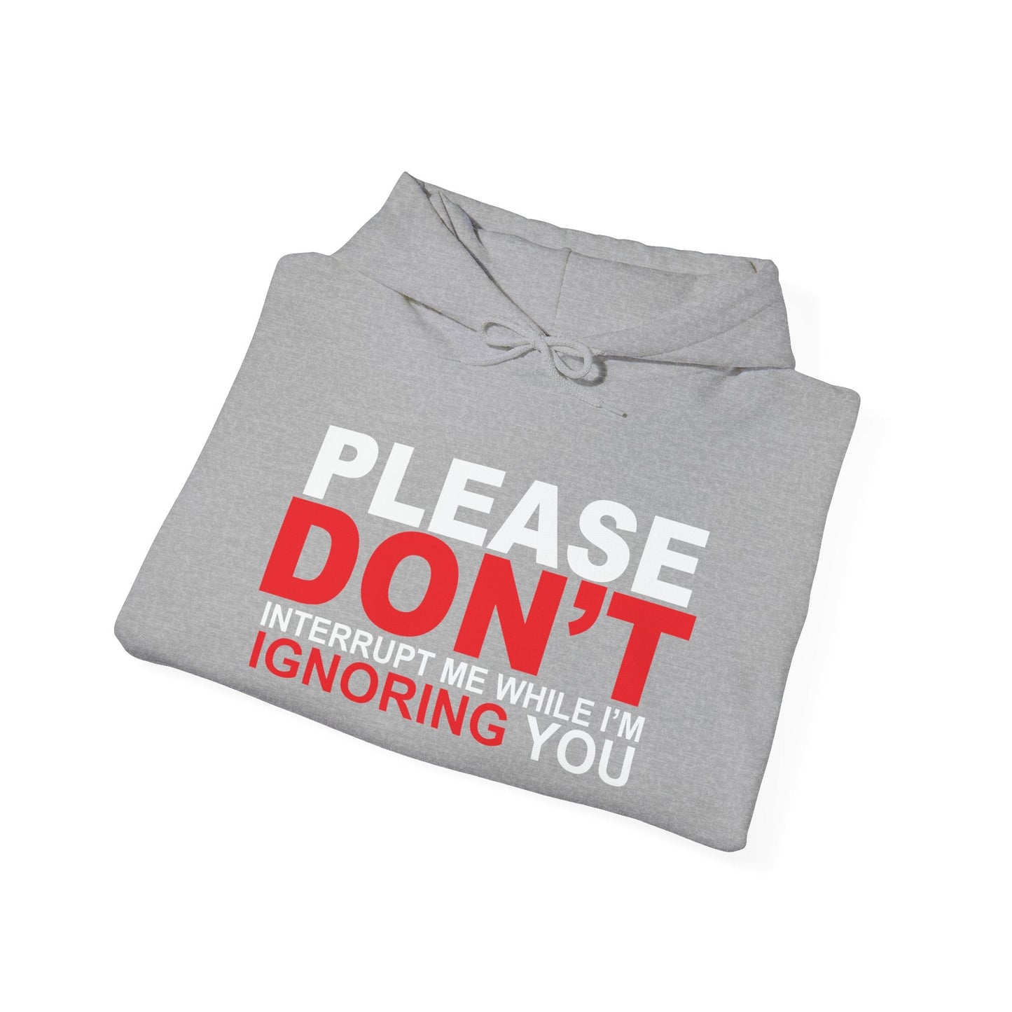 PLEASE DON'T INTERRUPT ME - Premium Unisex Funny Sarcastic Black Hoodie Sweatshirt