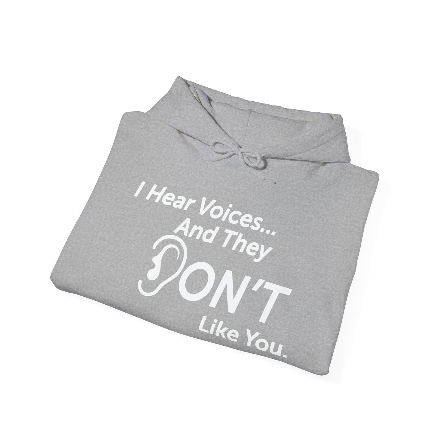 I HEAR VOICES AND THEY DON'T LIKE YOU - Premium Unisex Funny Sarcastic Black Hoodie Sweatshirt