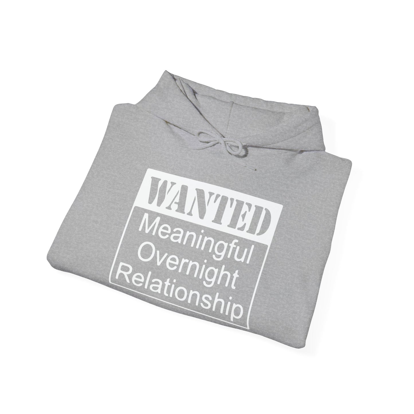 WANTED - Premium Unisex Funny Sarcastic Black Hoodie Sweatshirt