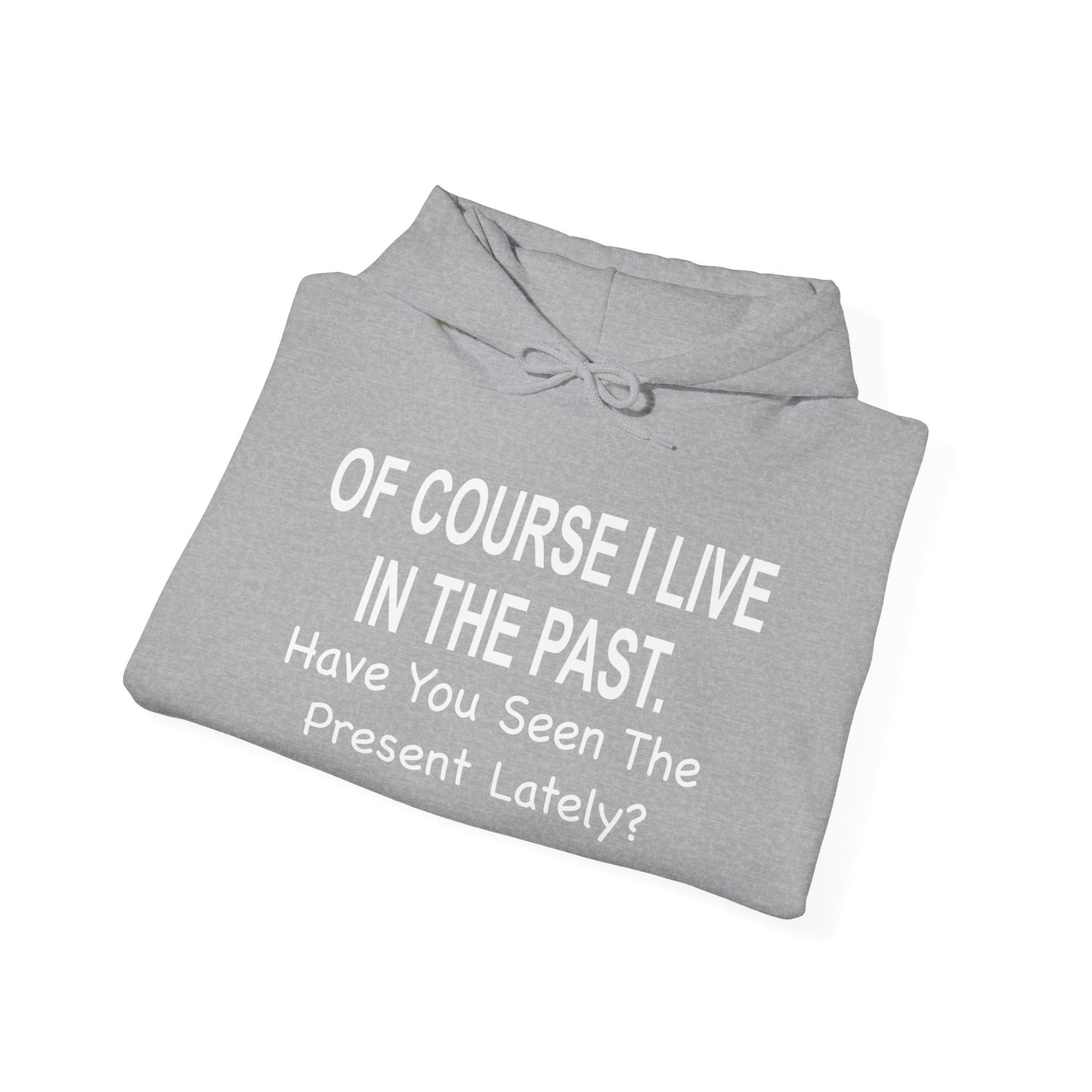 Of Course I Live In The Past Have You Seen The Present Lately - Premium Unisex Funny Sarcastic Black Hoodie Sweatshirt