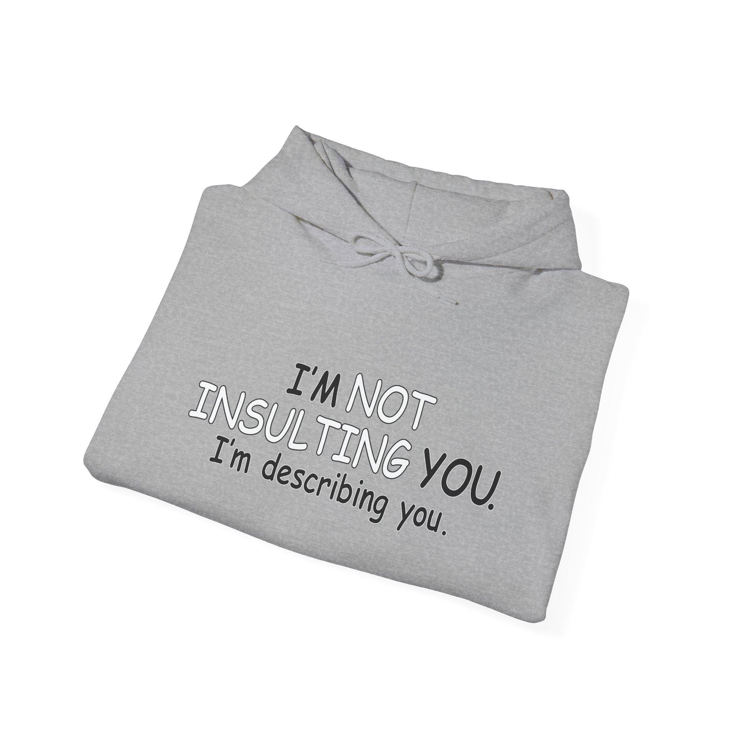 I'M DESCRIBING YOU - Premium Unisex Funny Sarcastic Black Hoodie Sweatshirt