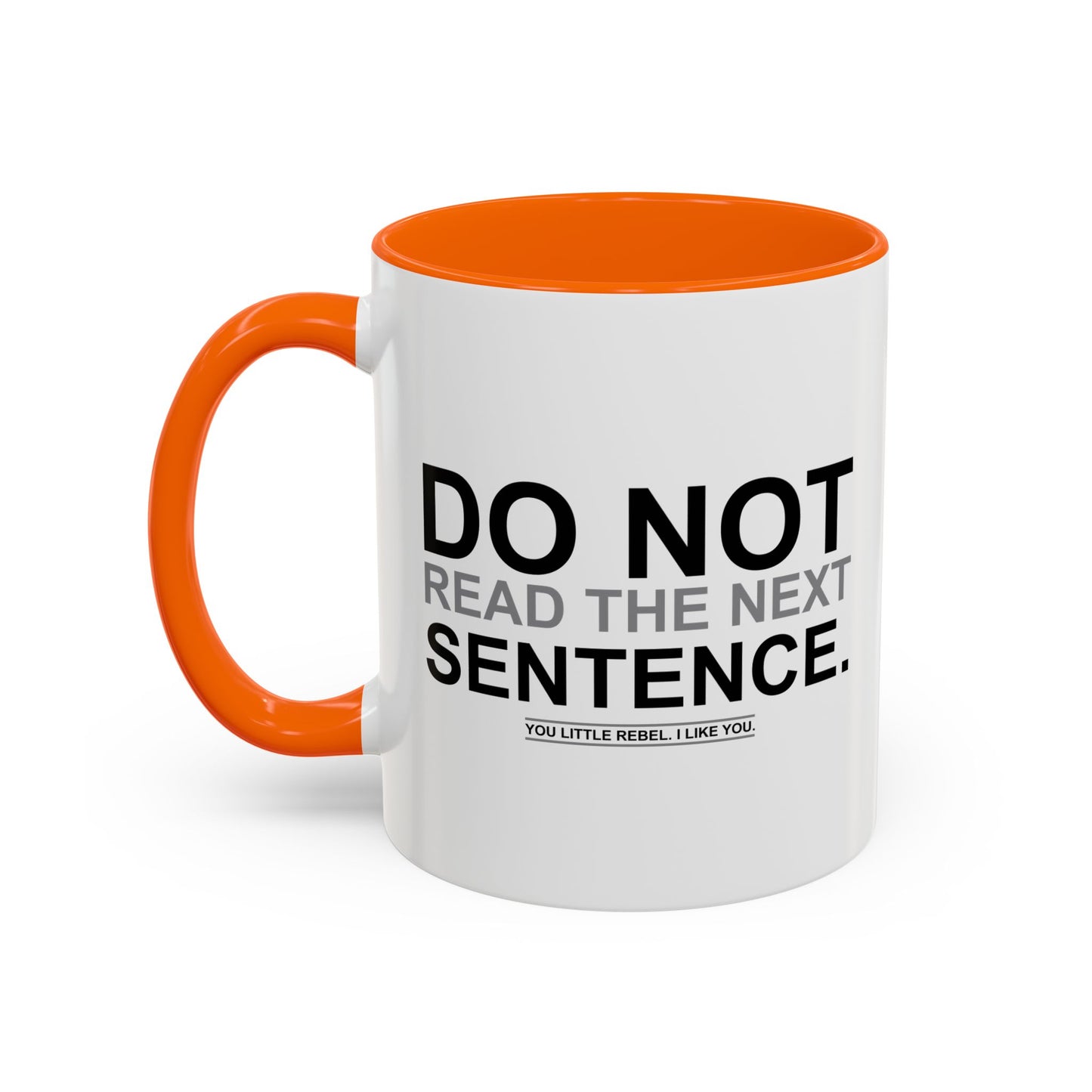 DO NOT READ THE NEXT SENTENCE. Accent BiColor Funny Sarcastic Mug