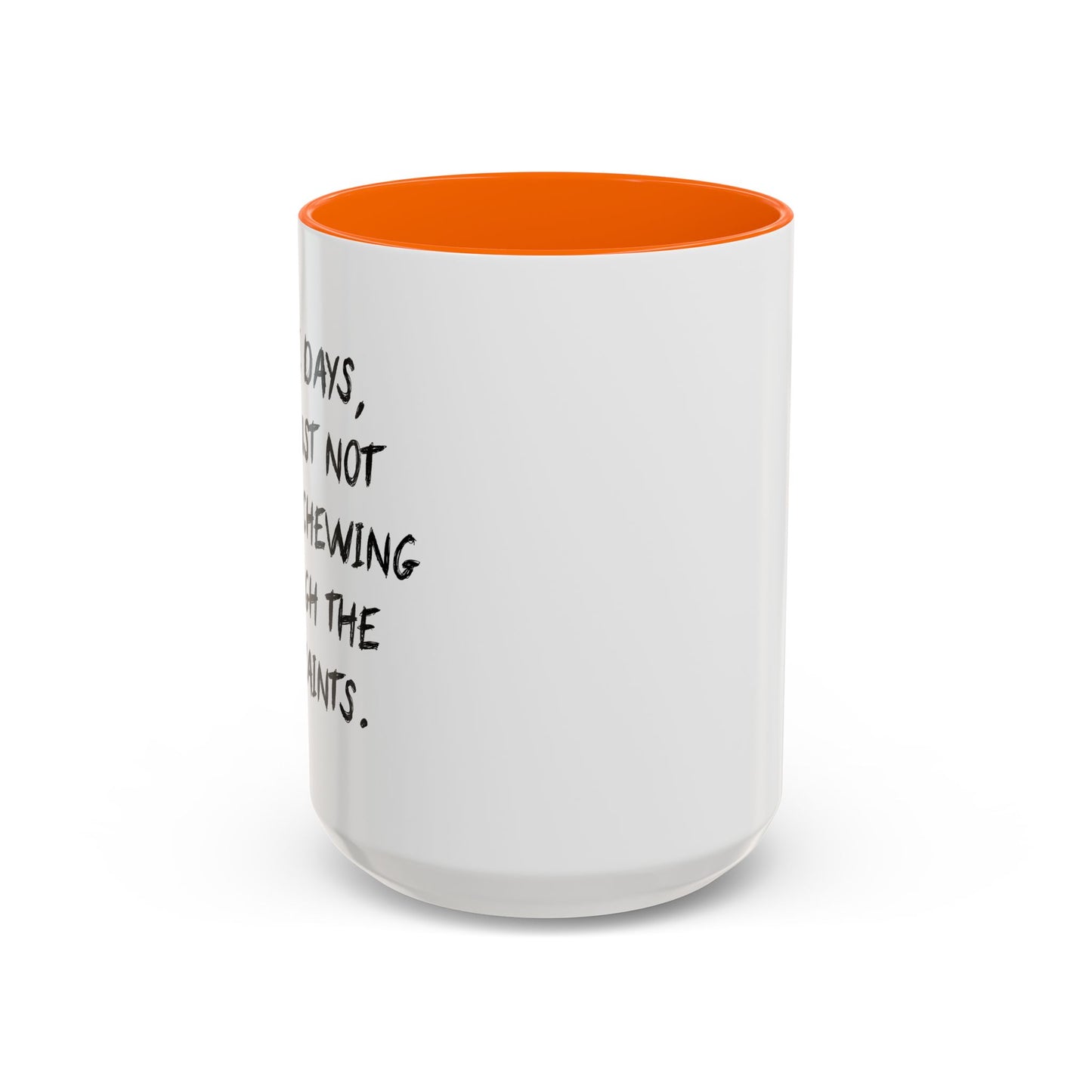 NOT WORTH CHEWING THROUGH THE RESTRAINTS Accent BiColor Funny Sarcastic Mug