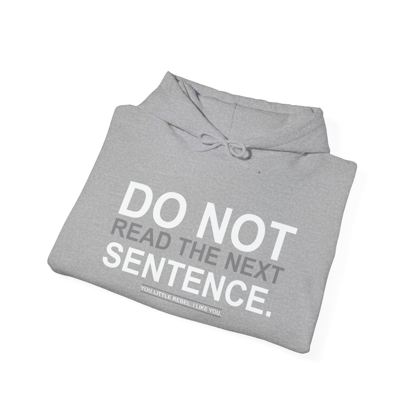 DO NOT READ THE NEXT SENTENCE. - Premium Unisex Funny Sarcastic Black Hoodie Sweatshirt