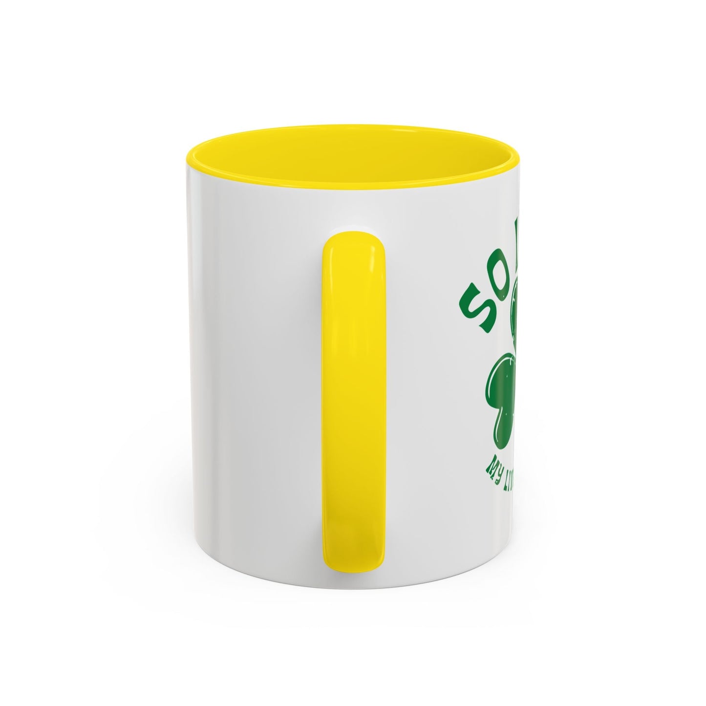 SO IRISH MY LIVER HURTS Accent BiColor Funny Sarcastic Mug