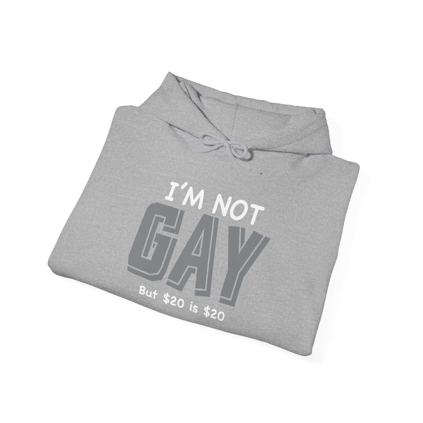 I'M NOT GAY - Premium Unisex Funny Sarcastic Black Hoodie Sweatshirt