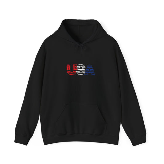 USA - Premium Unisex Funny Sarcastic Black Hoodie Sweatshirt