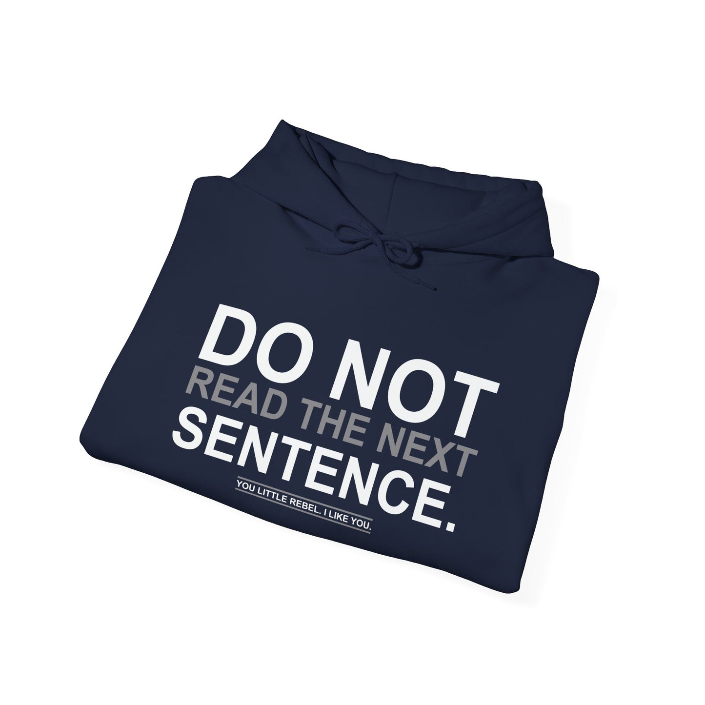 DO NOT READ THE NEXT SENTENCE. - Premium Unisex Funny Sarcastic Black Hoodie Sweatshirt