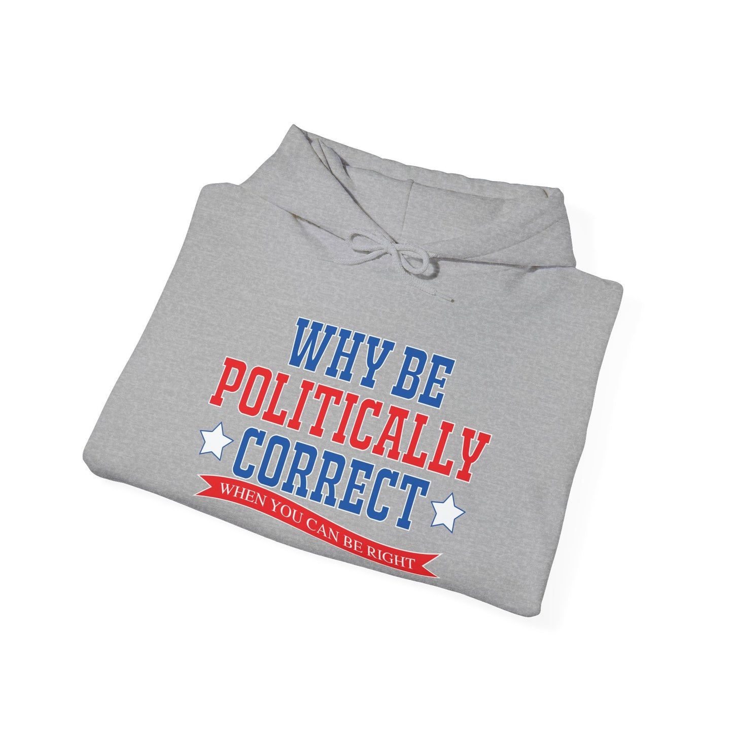 WHY BE POLITICALLY CORRECT - Premium Unisex Funny Sarcastic Black Hoodie Sweatshirt