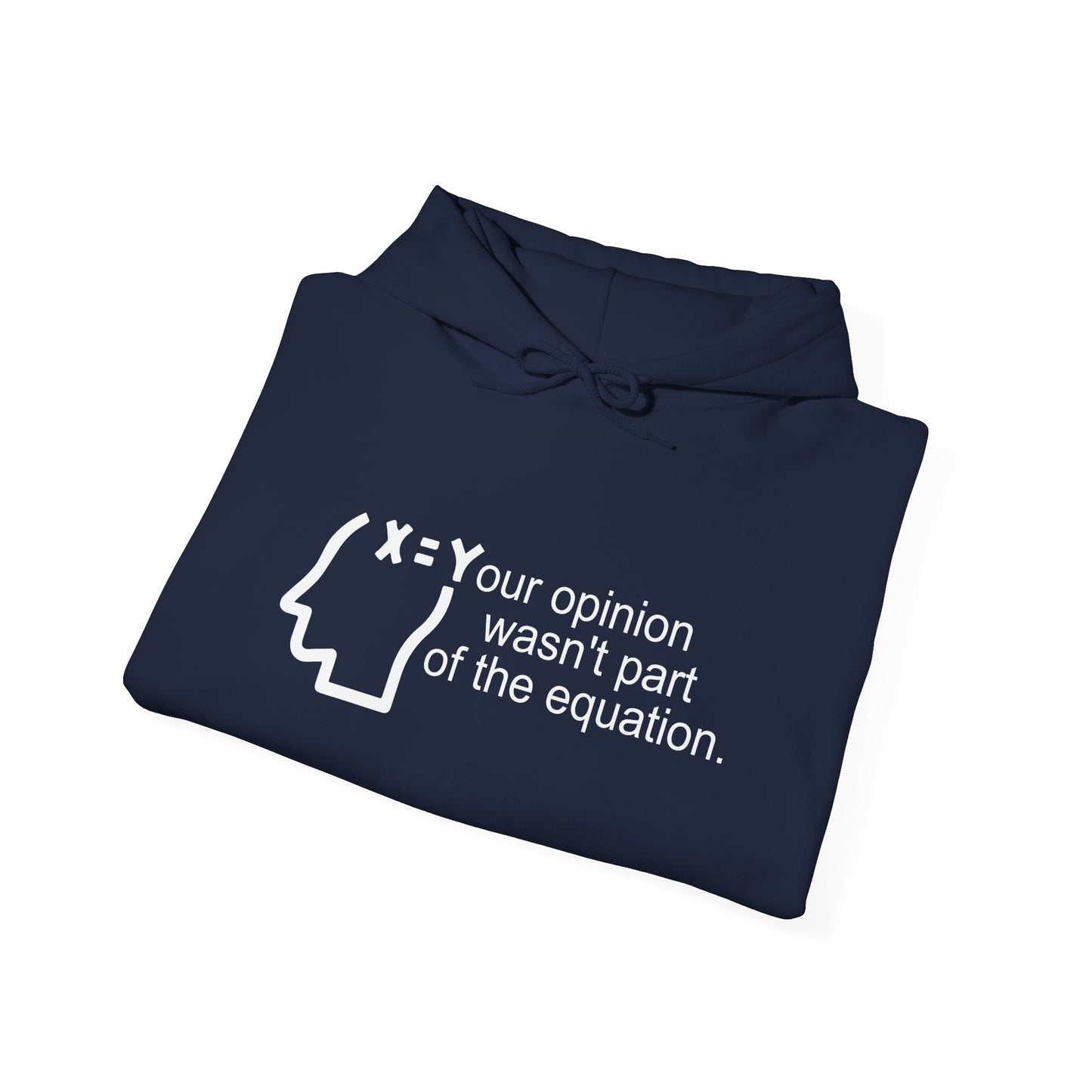 YOUR OPINION WASN'T PART OF THE EQUATION - Premium Unisex Funny Sarcastic Black Hoodie Sweatshirt