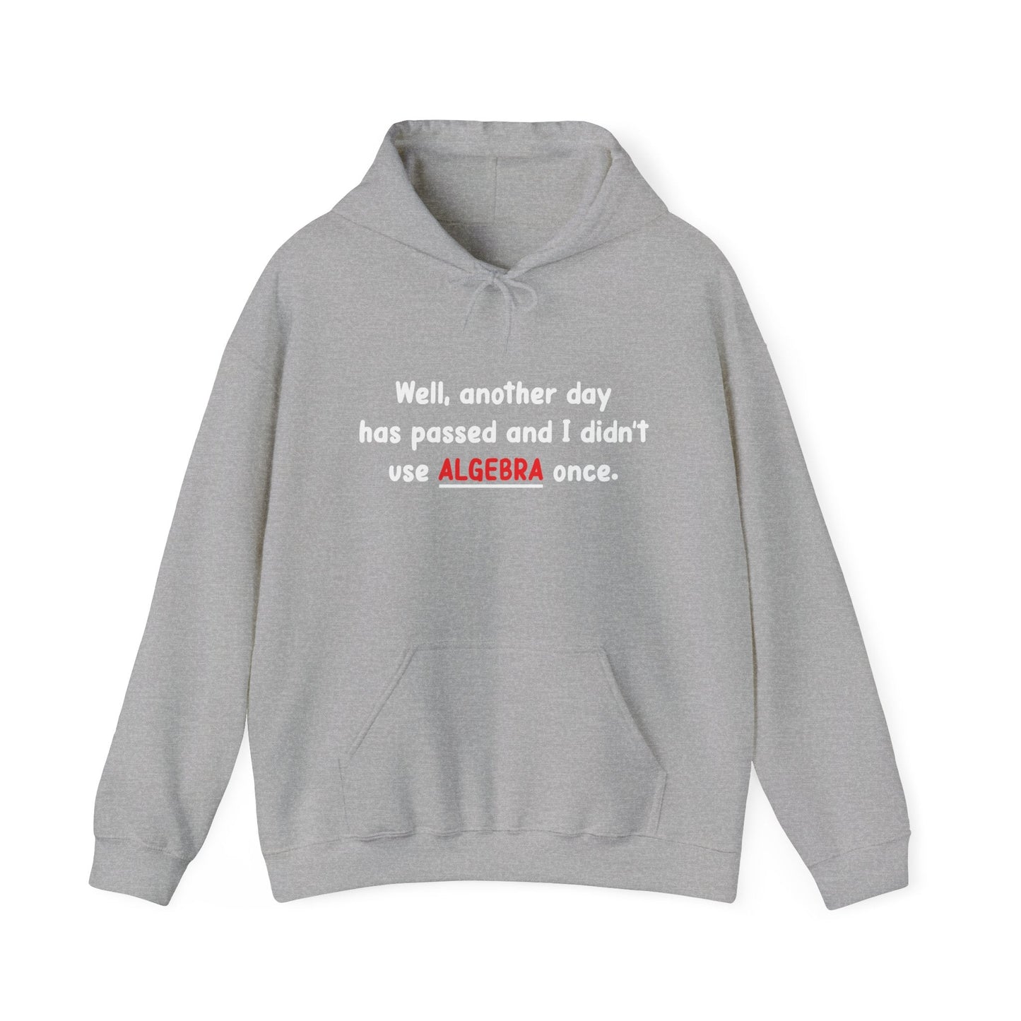 DIDN'T USE ALGEBRA ONCE - Premium Unisex Funny Sarcastic Black Hoodie Sweatshirt